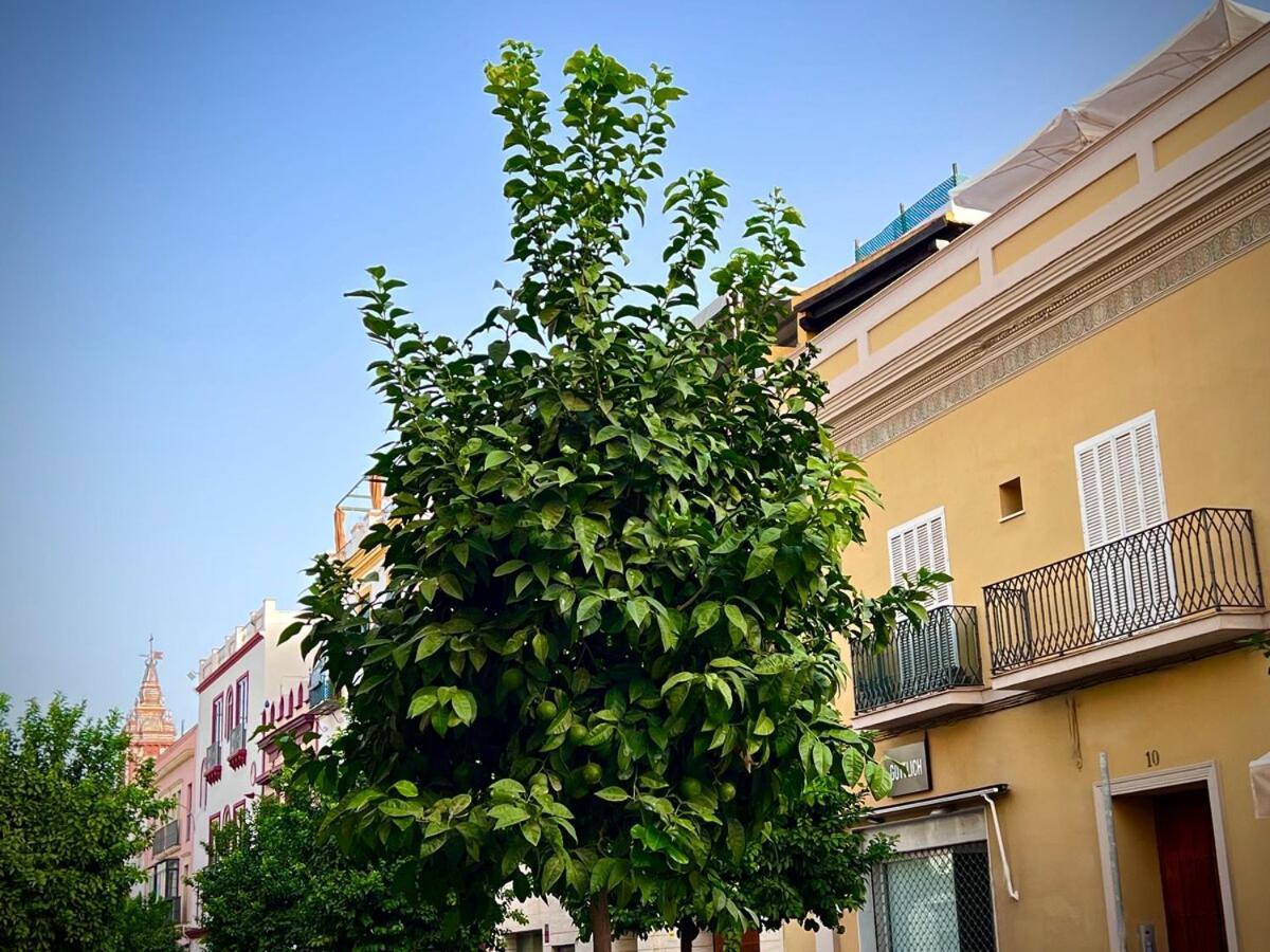 Casa Castilla 31